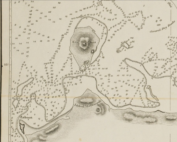 Section of a map by John Bateman from 1826 showing Sir bani Yas island (Qatar Digital Library)